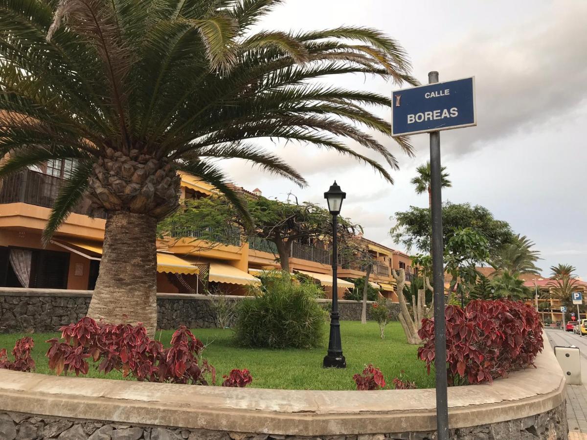 Dreaming The Sun Tenerife Коста дел Силенцио Екстериор снимка